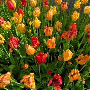 Meet your Posher, Mylène